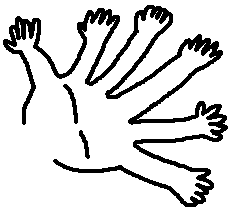 指の腕
